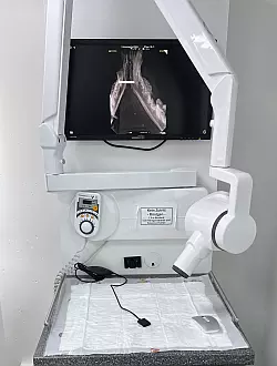 Eines der vier ständigen Röntgensystemeb